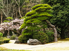 平山造園株式会社